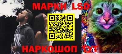 прущие грибы Камышлов