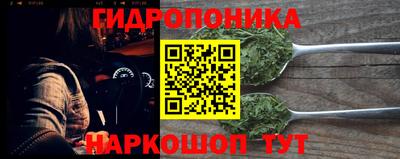 прущие грибы Камышлов